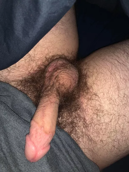 HMU 19 HMU 19