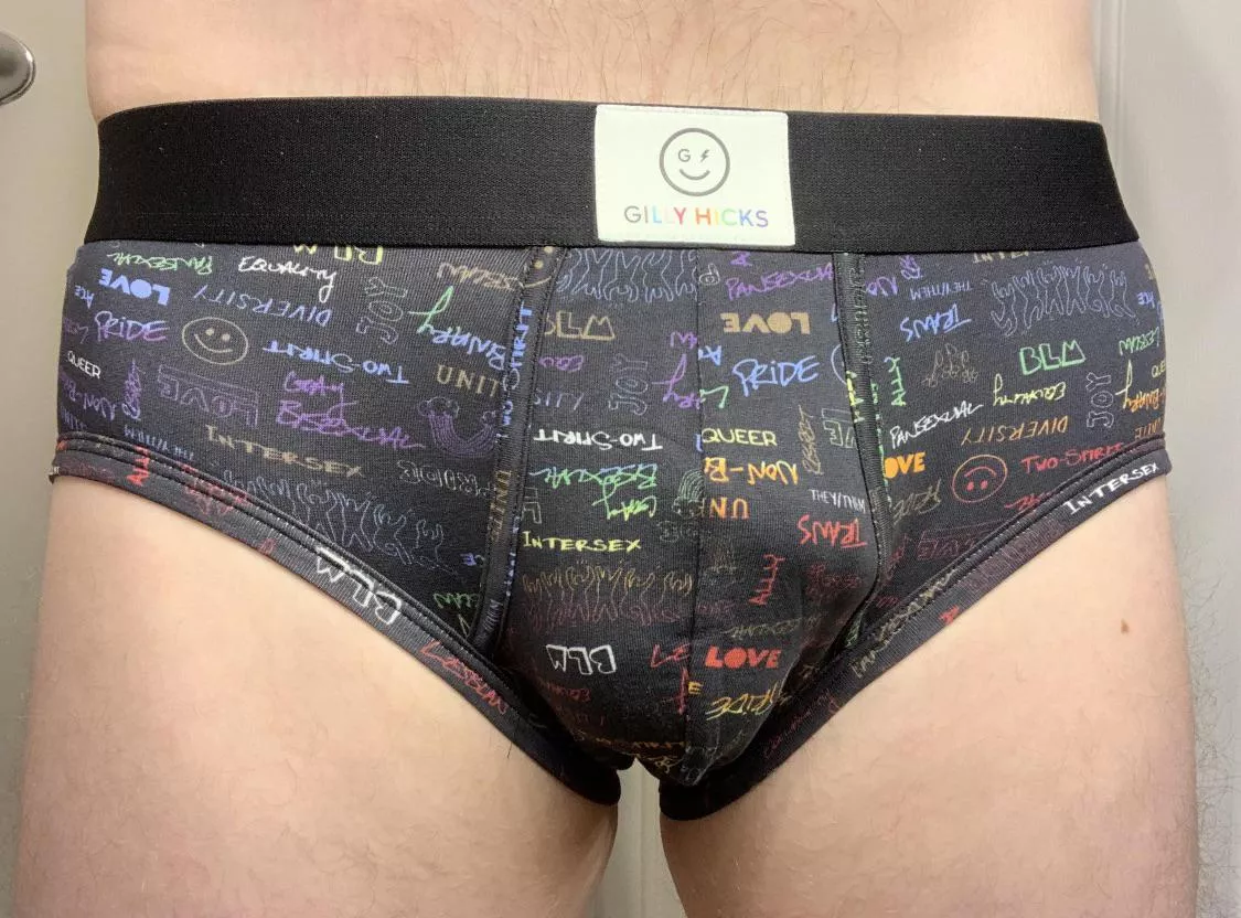 Hollister - Gilly Hicks - Briefs Hollister - Gilly Hicks - Briefs