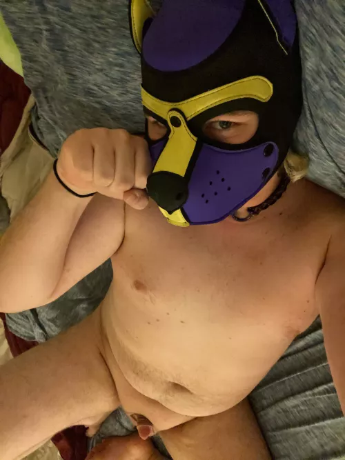 Honestly one of the cutest puppy pics I’ve ever taken of myself. Anyone wanna cuddle the sissy good girl?