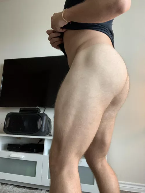 Horse legs… all 3 of em’