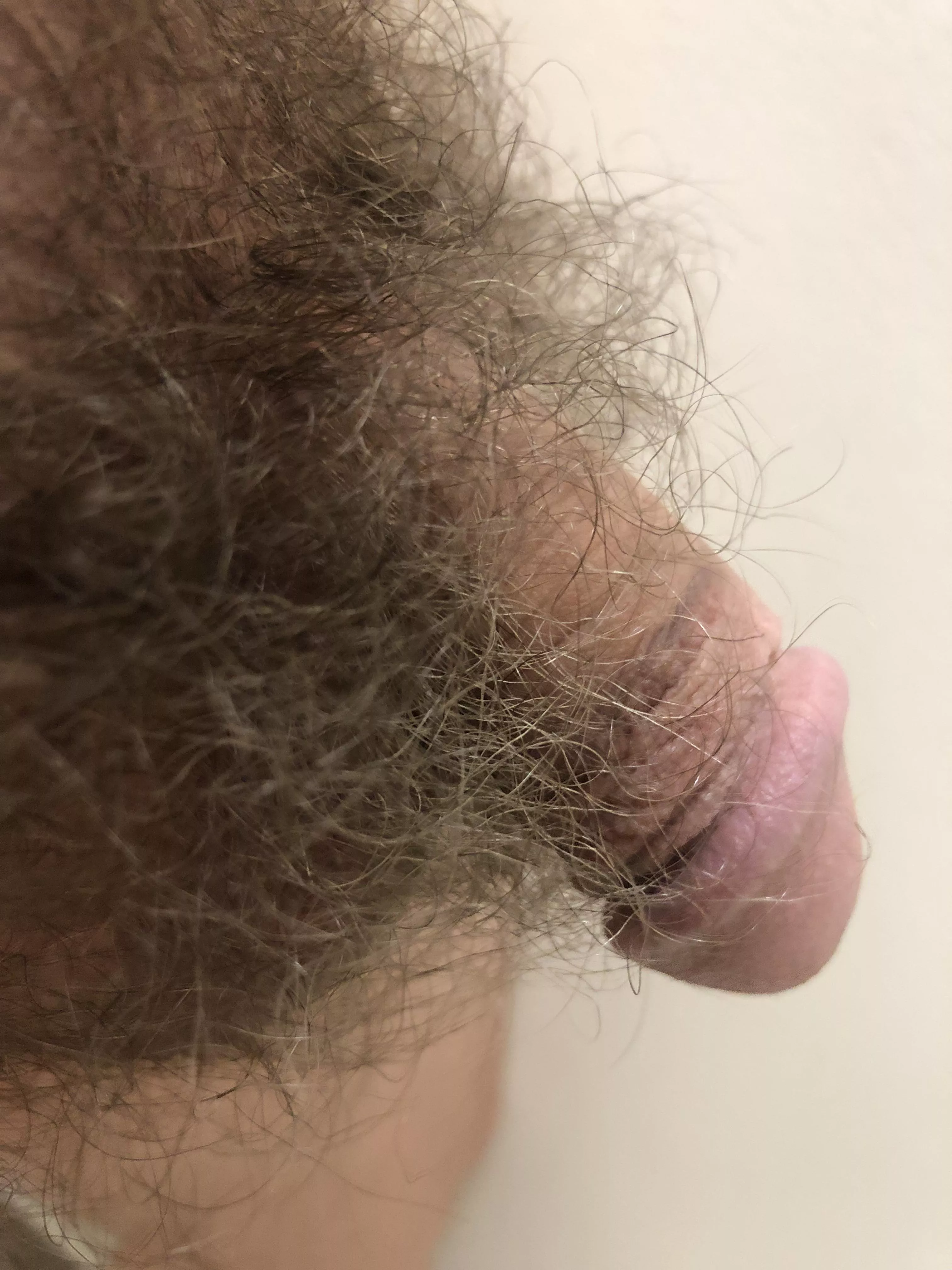How are these?