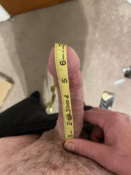 How does this 7” look?