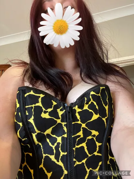 How much is that kitty in the window? Come closer and find out..... 🖤💫🐈‍⬛🔮