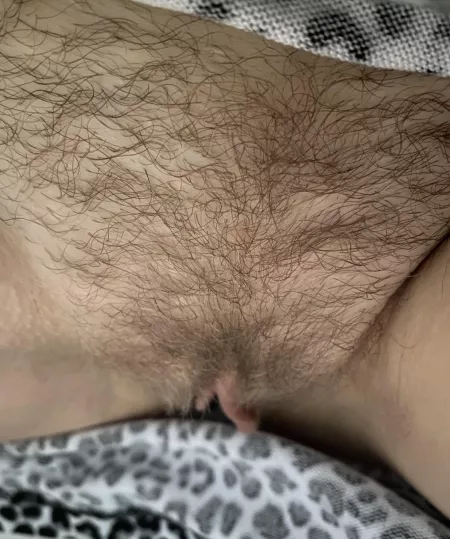 I can’t wait for it grow out fully 🥰