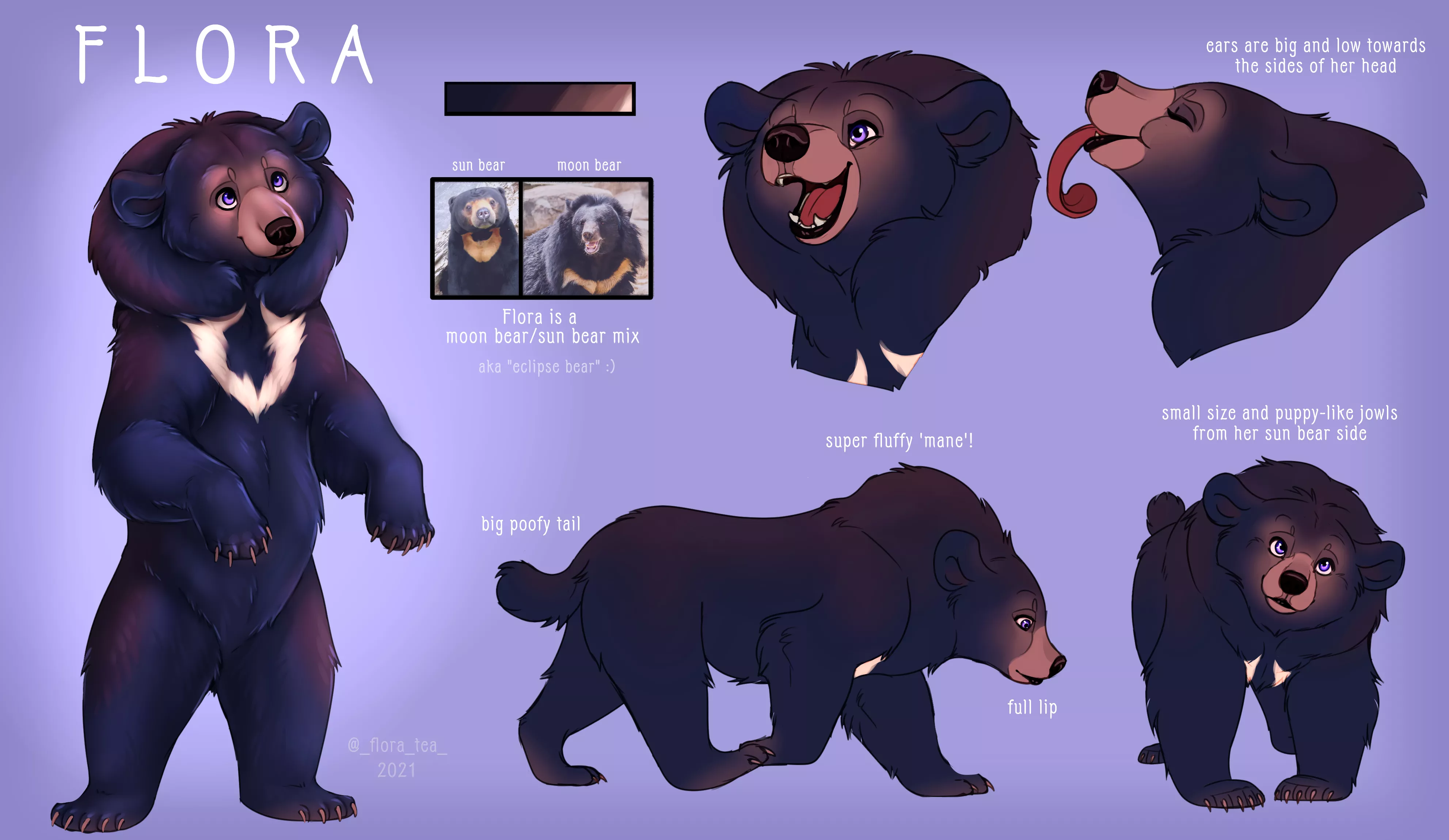 I finally made a ref sheet for my bearsona, Flora!