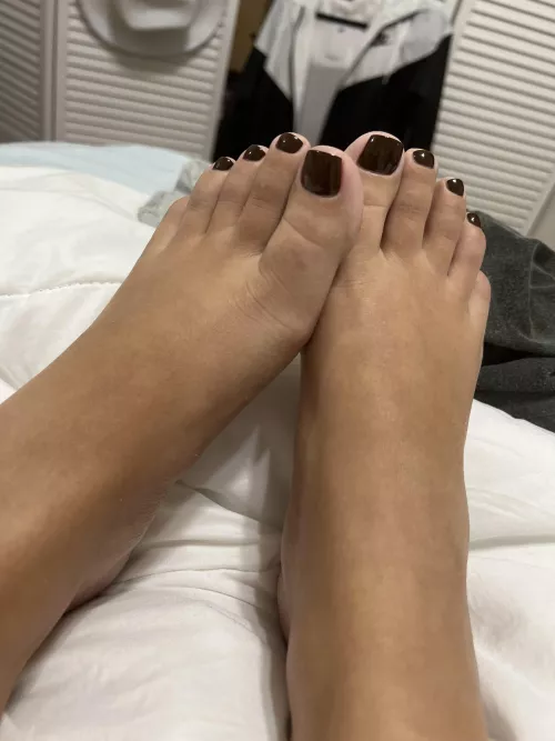 I got more freshly painted toes for you π I got more freshly painted toes for you π