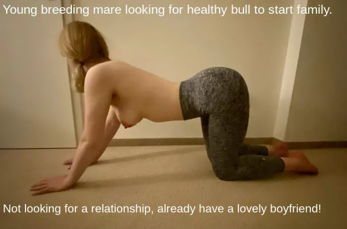 I have a lovely boyfriend I have a lovely boyfriend