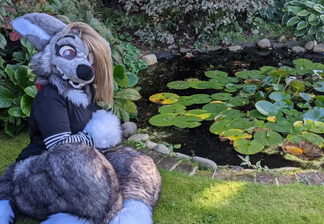 I just want to be a frog, is that too much to ask?🥺