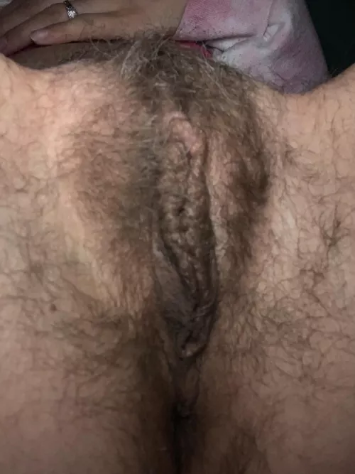 I know it’s titty Tuesday but here’s some bush instead.