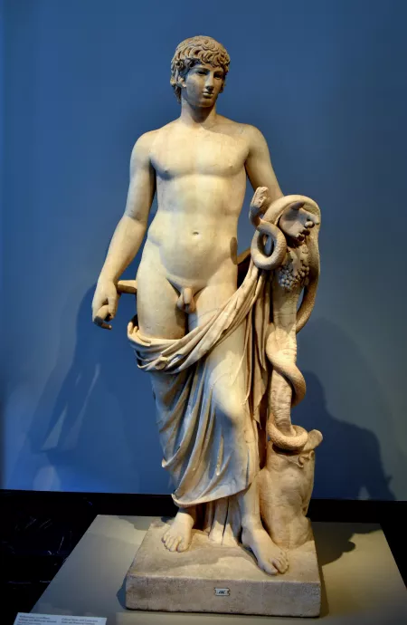 I know this is riding the edge of the rules but idc. This is Antinious the Roman emperor Hadrians boyfriend who was deified after his death.
