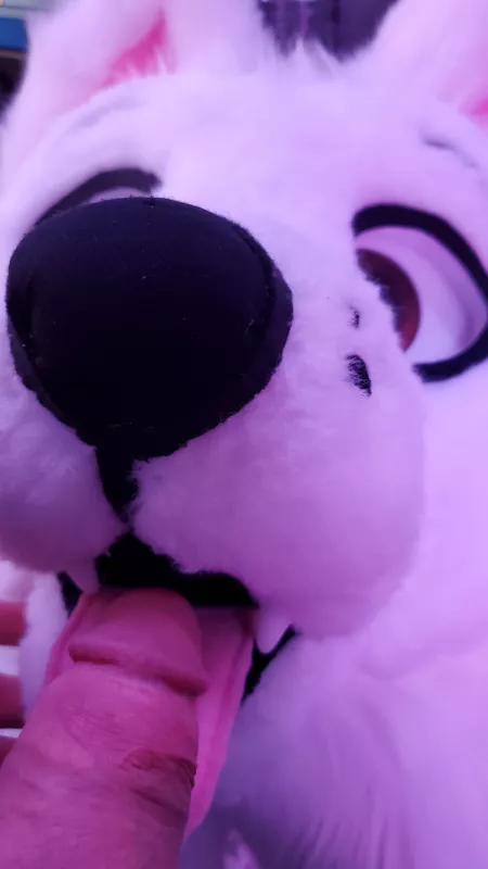 I know this is what alot of you'd like to do to me. So heres this to drool over. X3