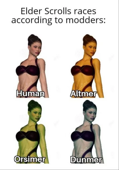 I Saw this on r/skyrimmemes and I think it can be applied here too lol. By: u/queen-of-worms