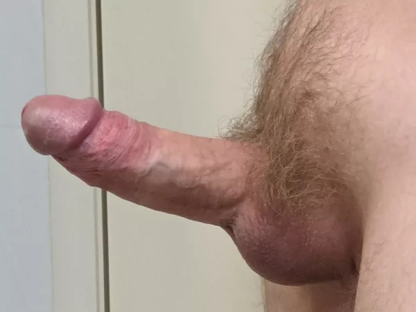 I'd love to have someone suck me off right now, any takers?