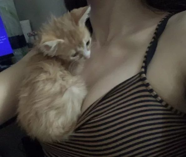 If I made your dick hard, you’re allowed to cum in me....!!