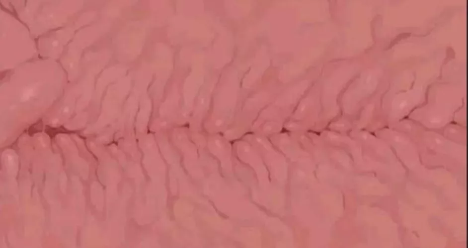 If u can find this or artist please tell me