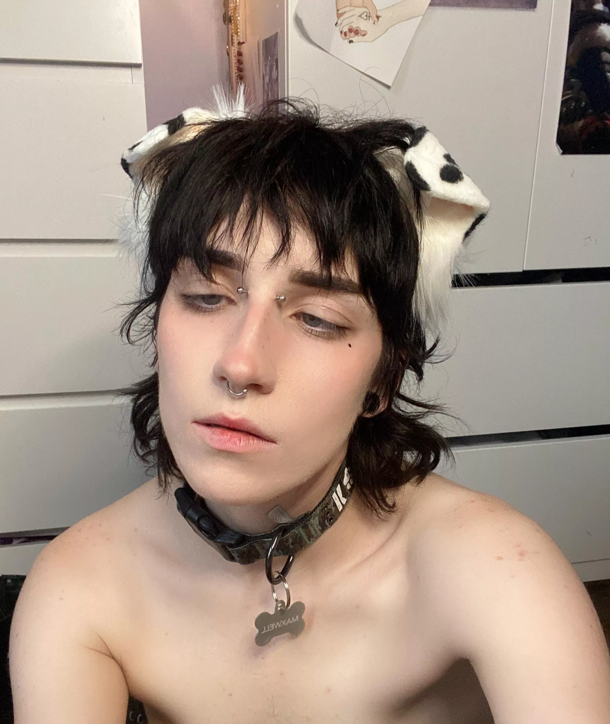 I’m just a stupid puppy!