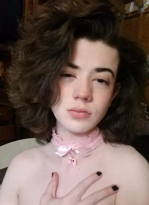 I'm new to collars lol