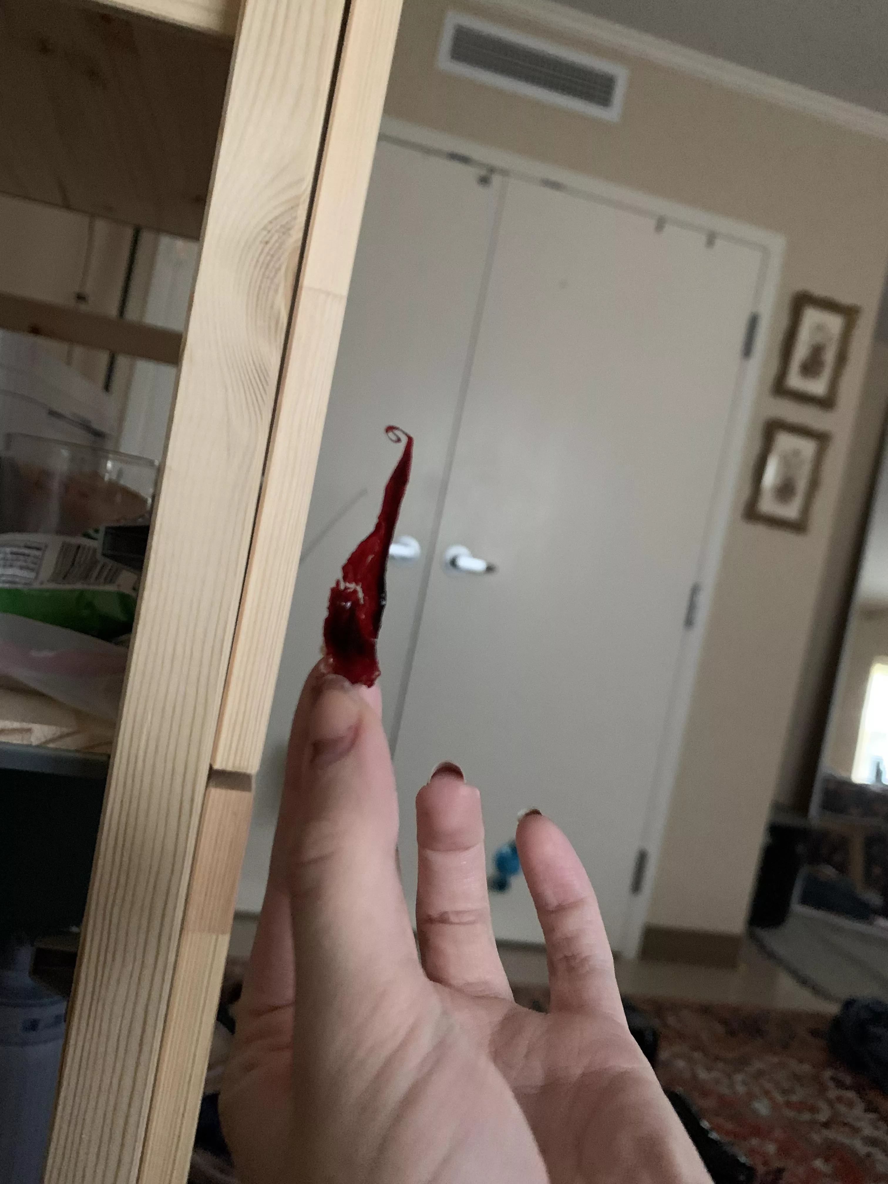 in a groggy, half-conscious state, felt something poking inside of my nose... proceeded to get a massive nosebleed after this.. pretty sure i just pulled a vital connection to my brain lmao in a groggy, half-conscious state, felt something poking inside of my nose... proceeded to get a massive nosebleed after this.. pretty sure i just pulled a vital connection to my brain lmao