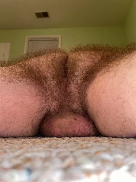 Insert your face and thick cock here.