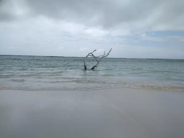 It was a great day at baby beach (ARUBA 2021)