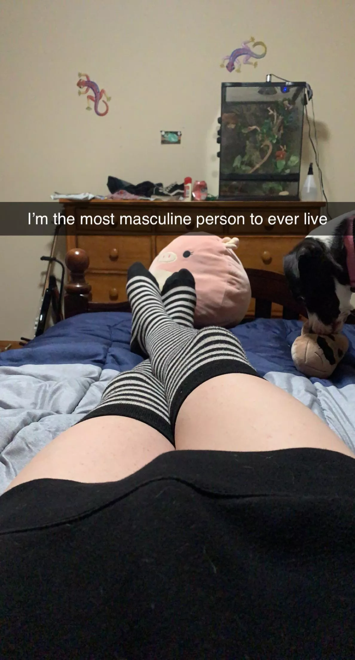 It’s femboy Friday and I almost forgot! Hope this makes up for it