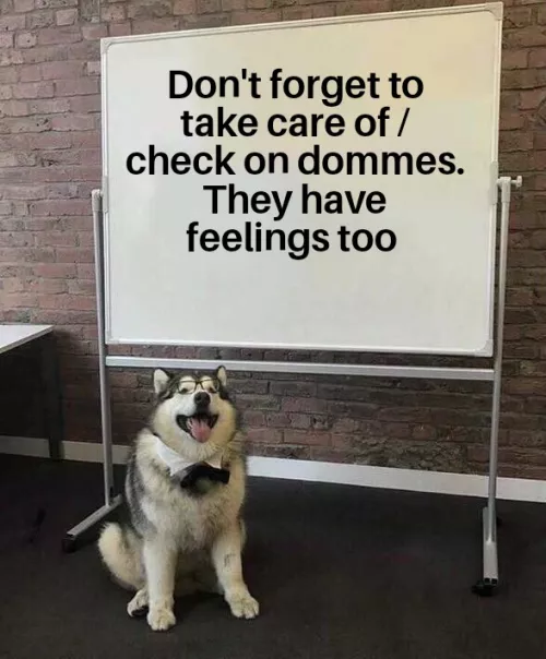 It's okay to want a hug or to rest in a lap. It doesn't make you less dominant to need comfort. It's okay to need a shoulder to cry on. I hope you're doing okay and if not we can change that :)