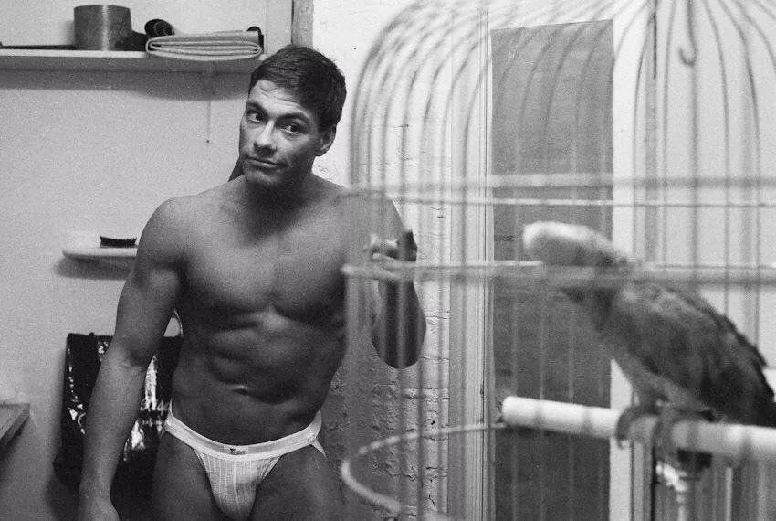 “Jean-Claude Van Damme” …