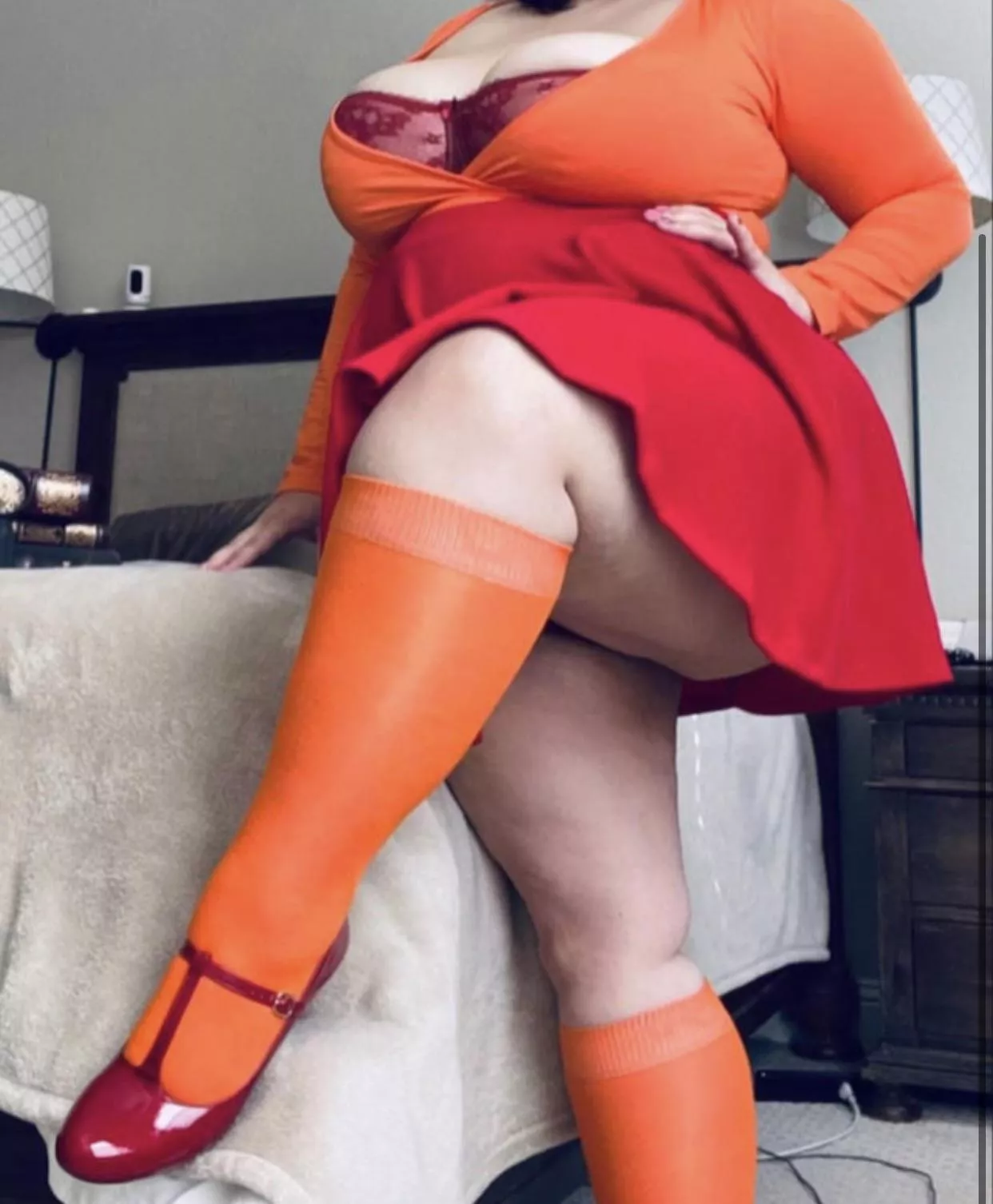 Jinkies! What to solve a mystery together? 🤓🐕👻😱🧡🔎🐾