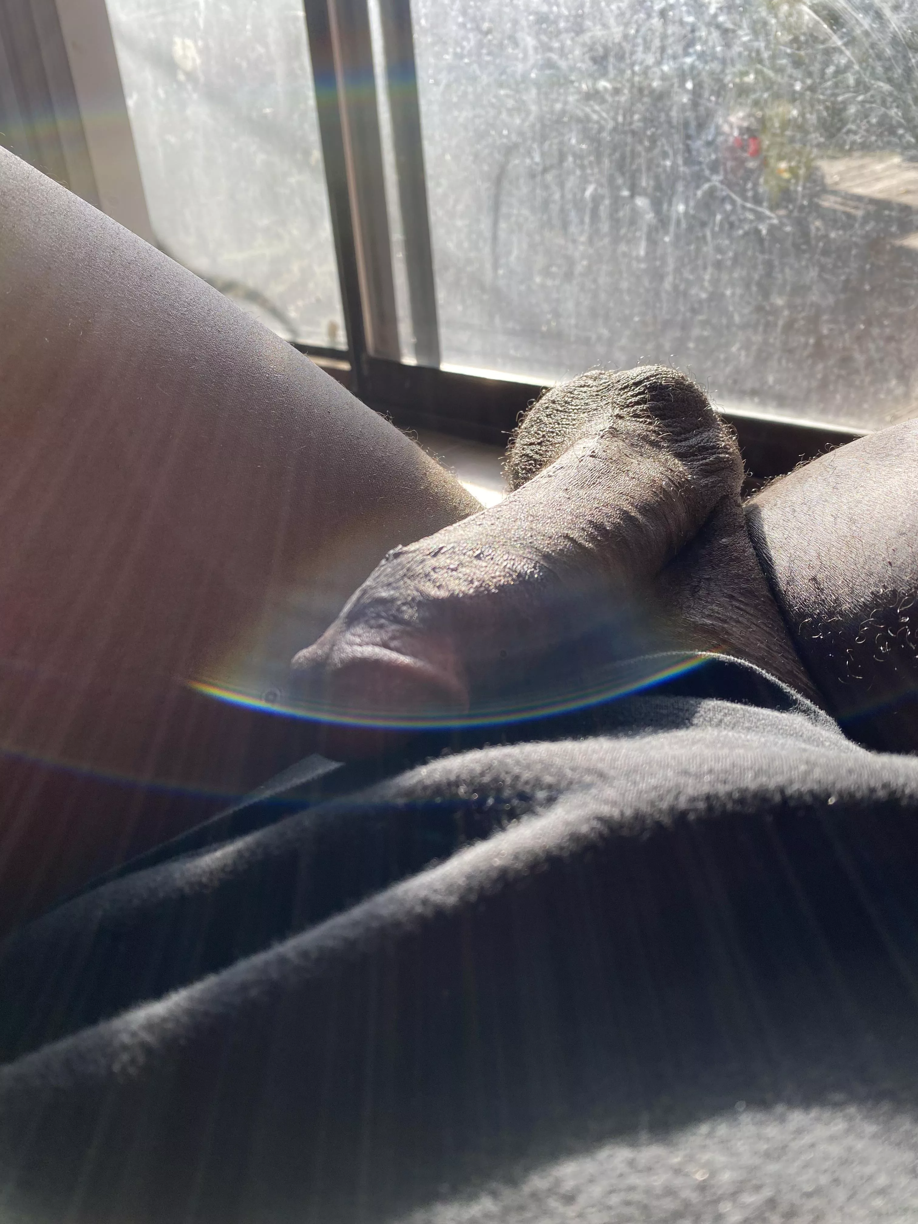 Just chillin in the sun 😉