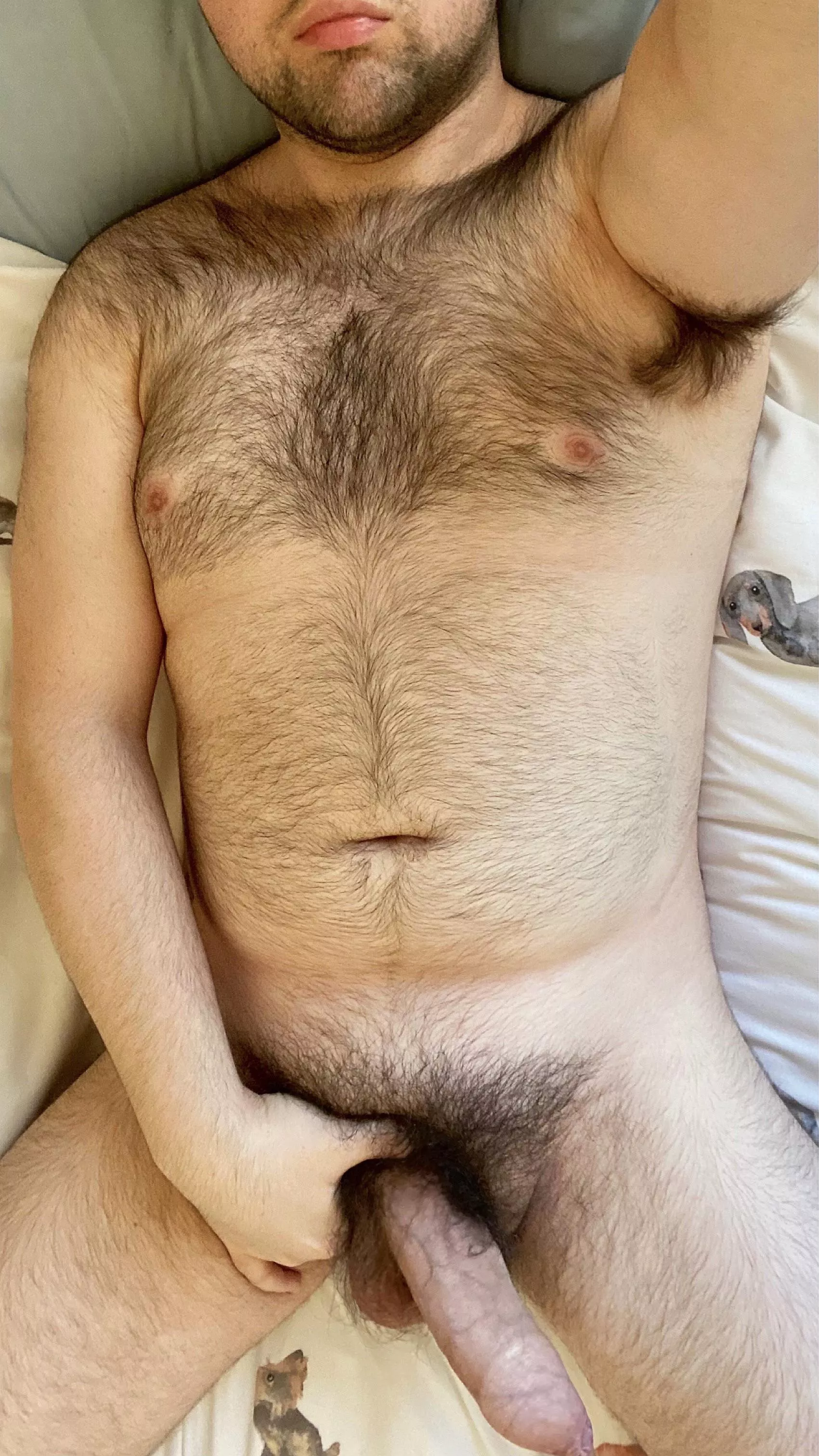 Just got home and i’m pretty drunk and horny. You boys wanna give my thick bear cock some attention?