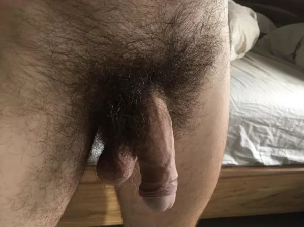 Just hanging out admiring my pubes