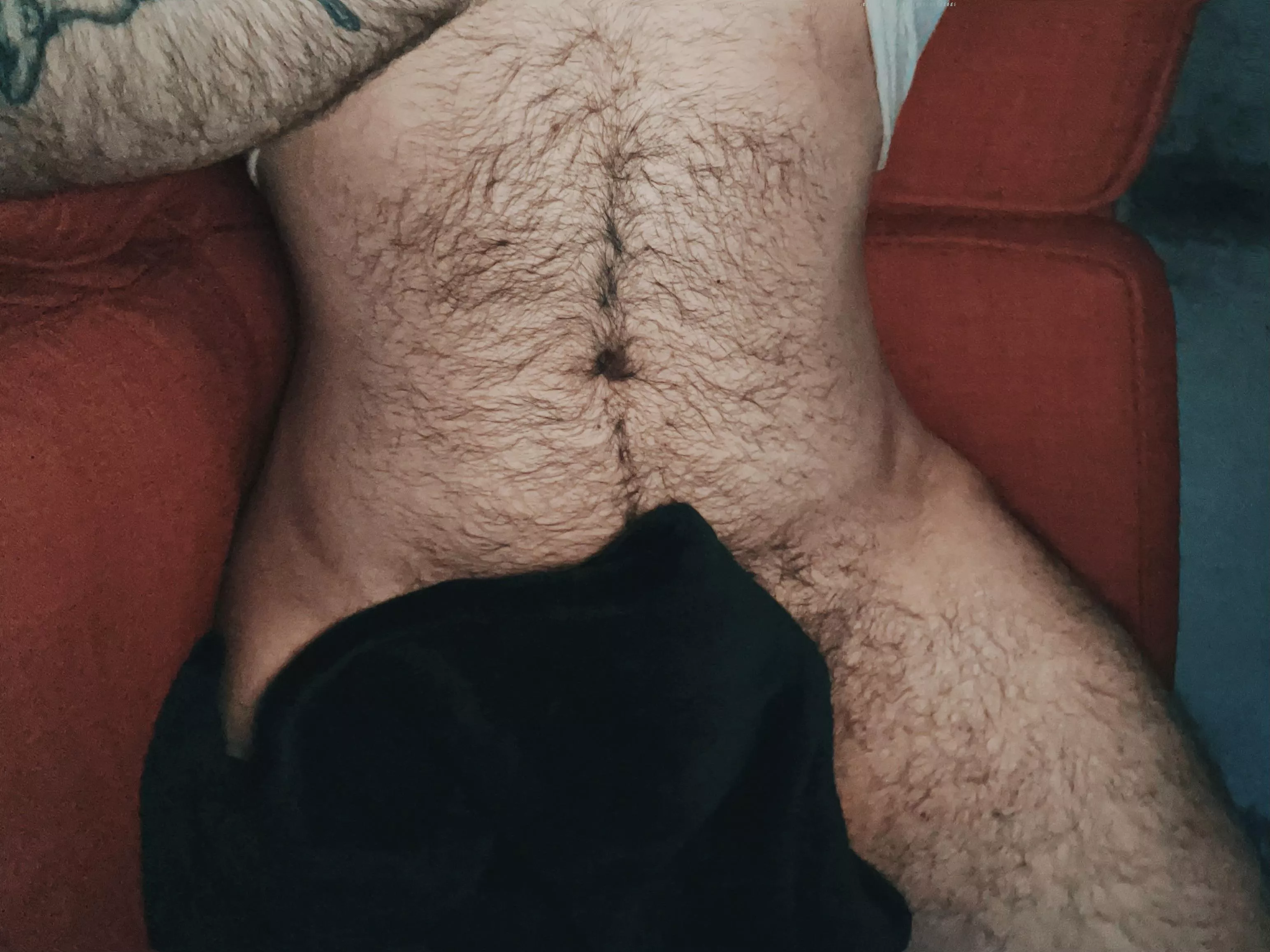 Just lounging on the couch today. What’s everyone else up to?