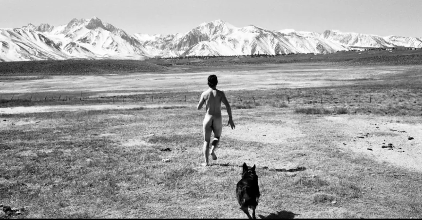 Justin Chatwin - American Actor