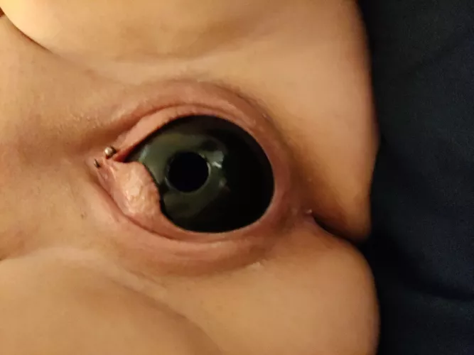 Kongs can be for your other pets, too.