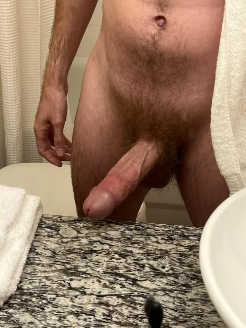 Last night in the Bay