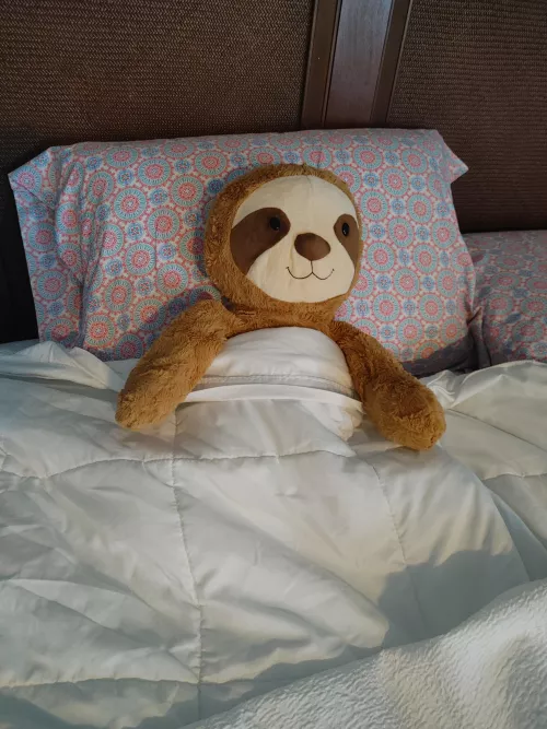 Left my stuffie in the hotel to relax while Daddy and I go adventuring!