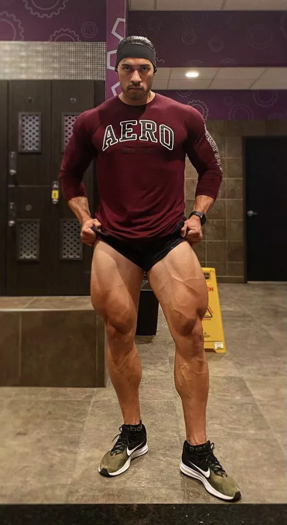 Legs ✅