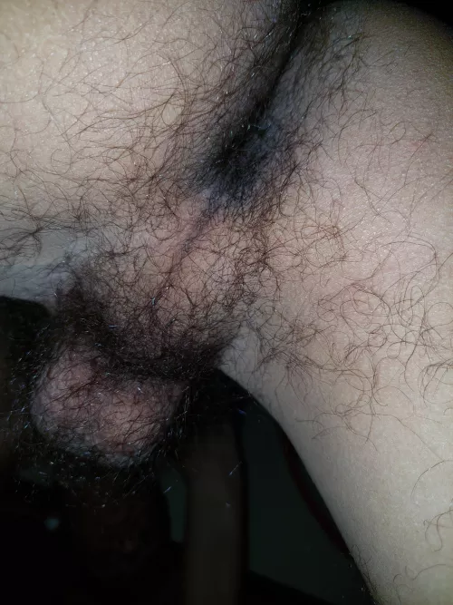 Let me sit on your face