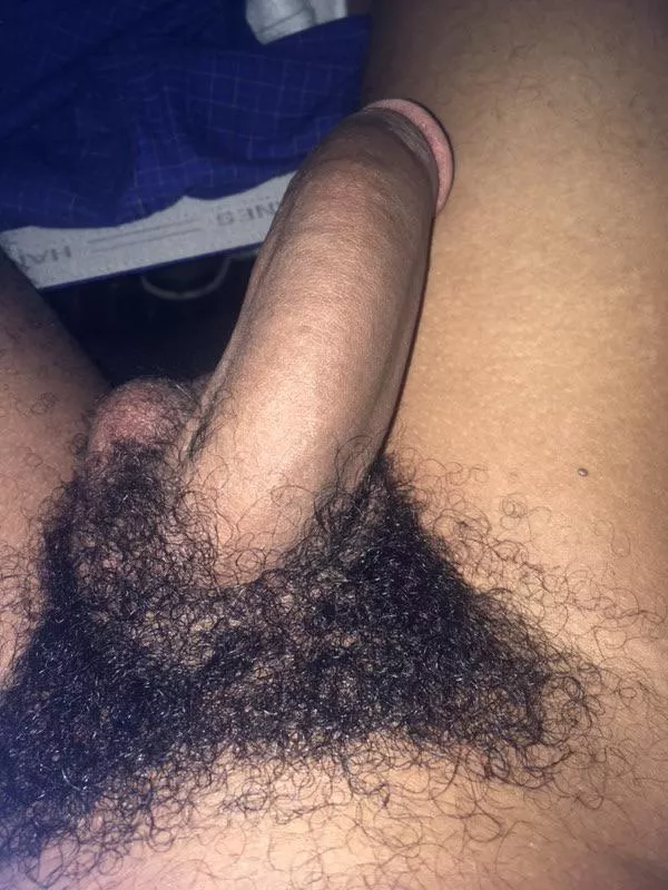 Like black cock ?