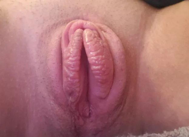 Like my pouty pussy lips?