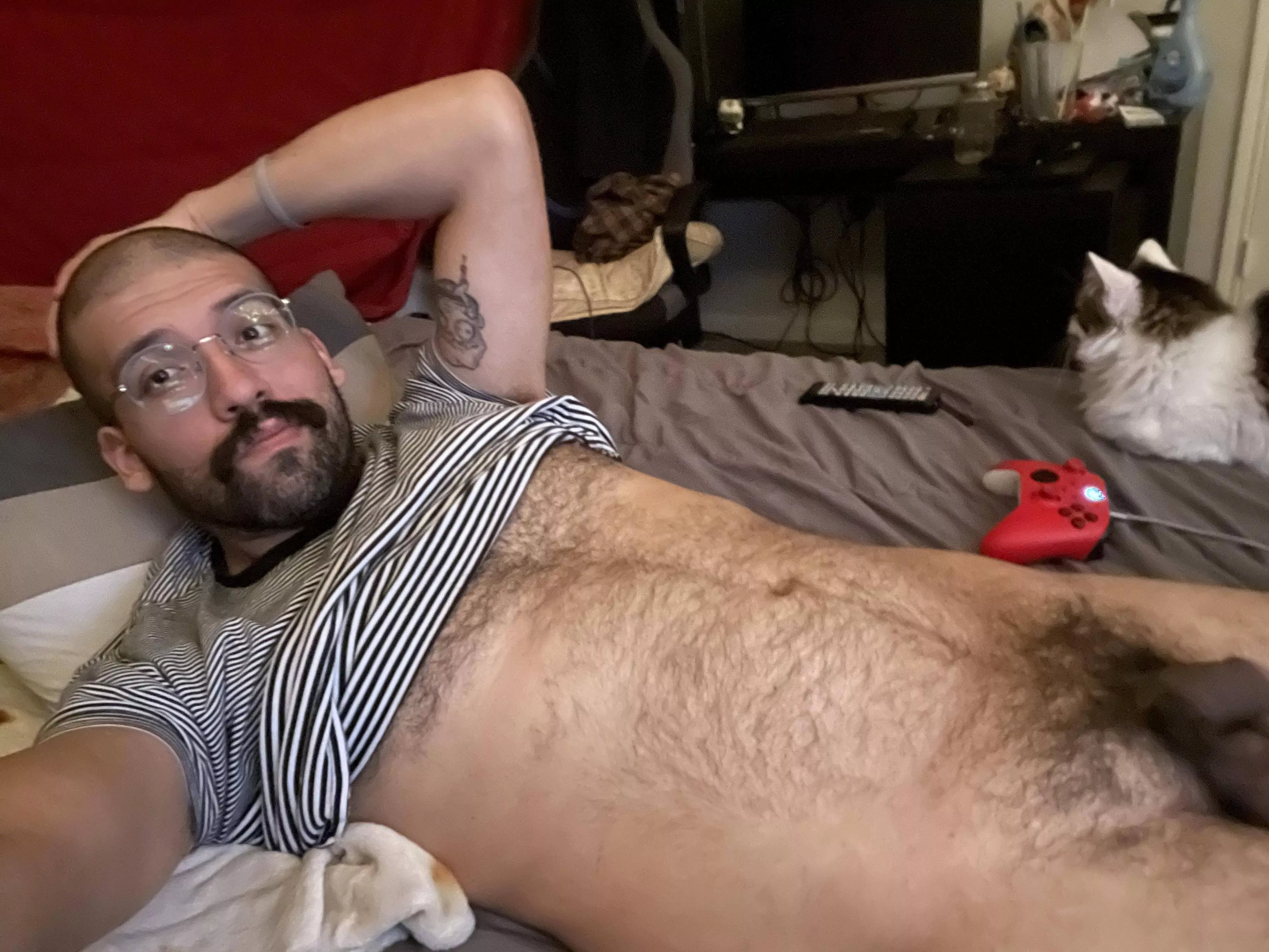 Like my pubes?
