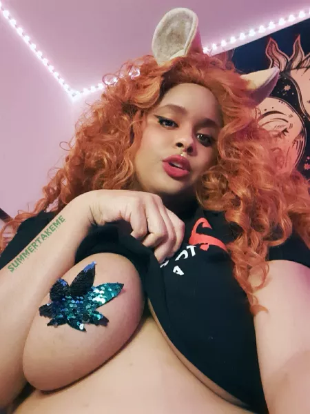 lions are the best cat 💕