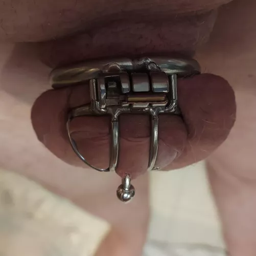 LOctober the 5th. Morning wood.