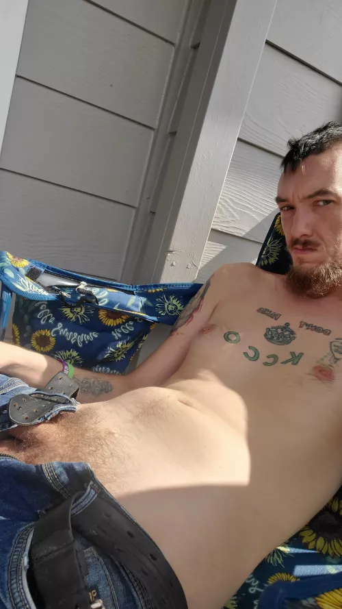 look the way they look in the sun