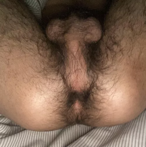 Looking for a long term daddy