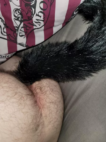 Love playing with my tail