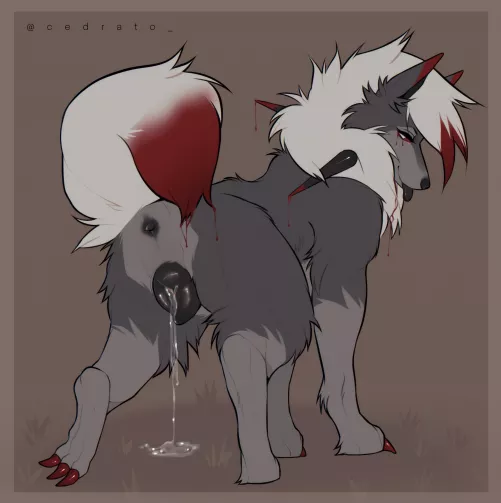 Lycanroc Leaking [F] (Cedrato)