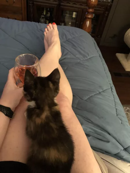 Me and the kitty tonight