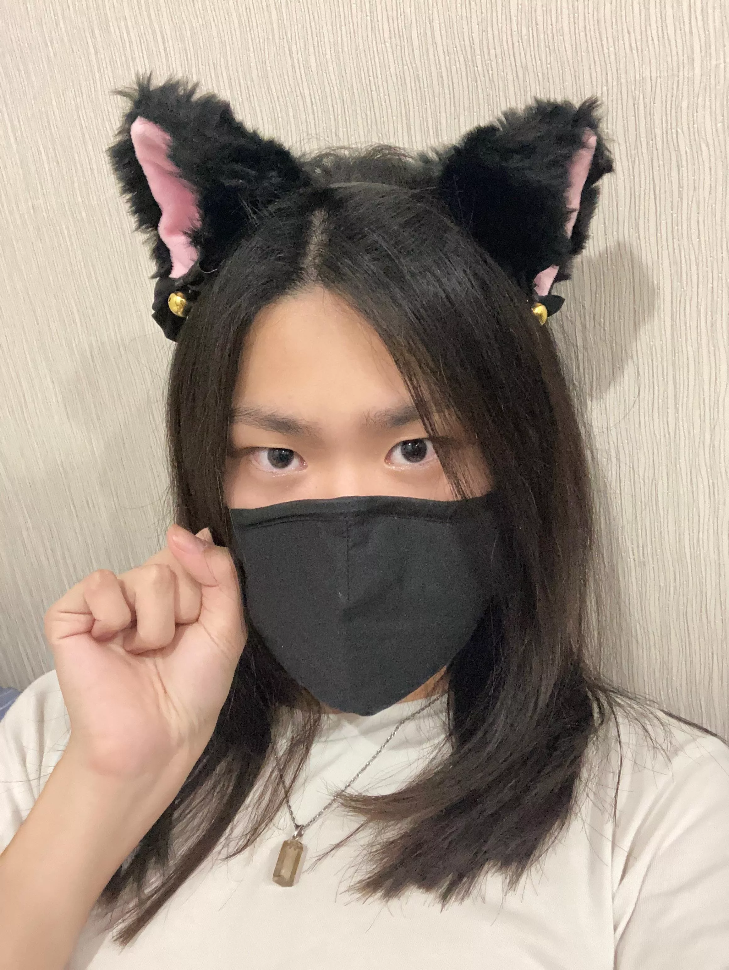 Meow😽