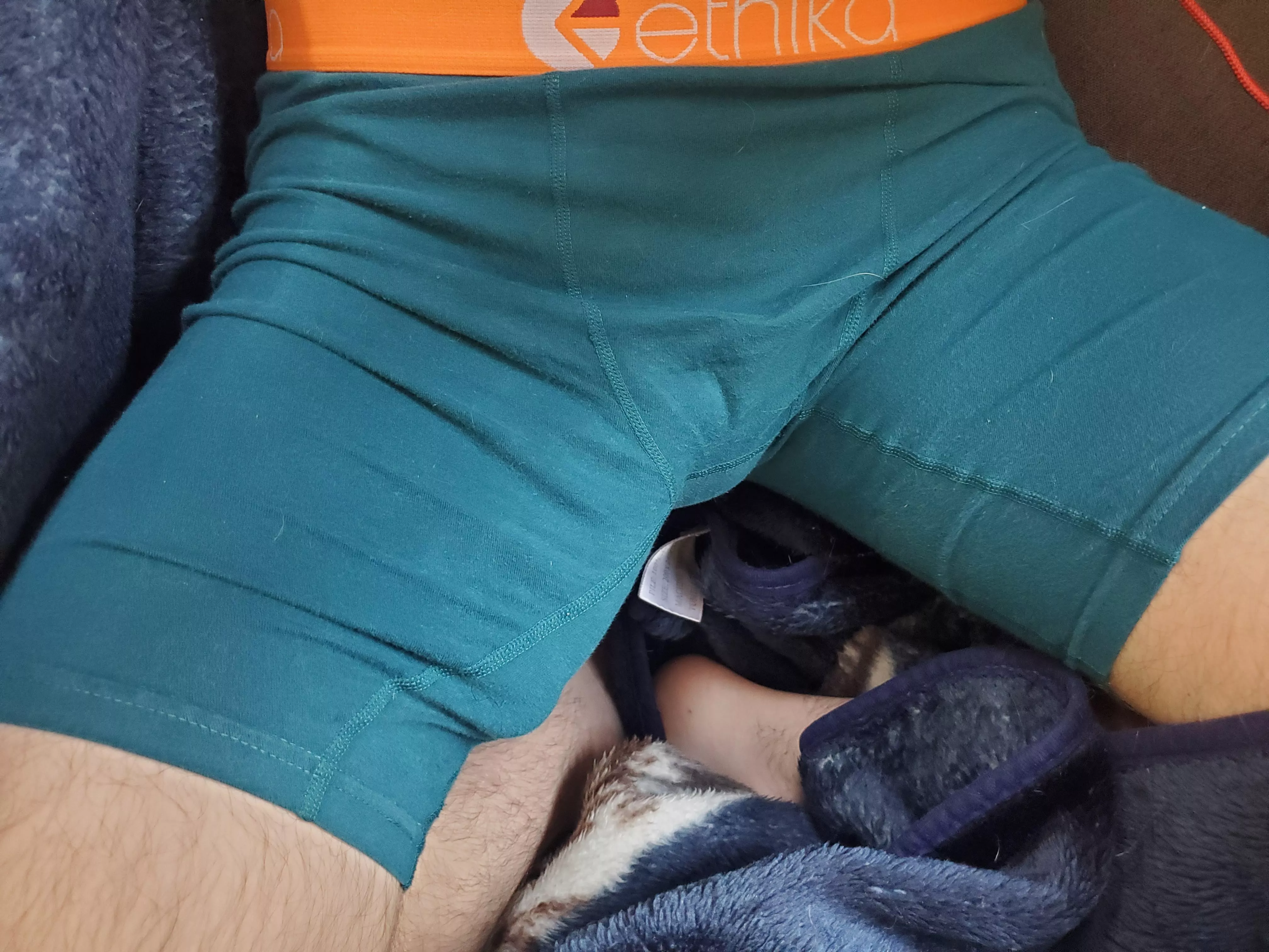 Midwest bulge